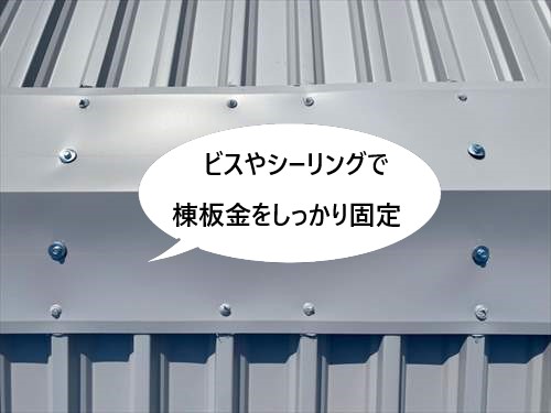 棟板金　ビス・シーリング　固定